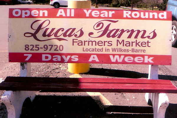 roscoe-bench-ads-gallery-nepa